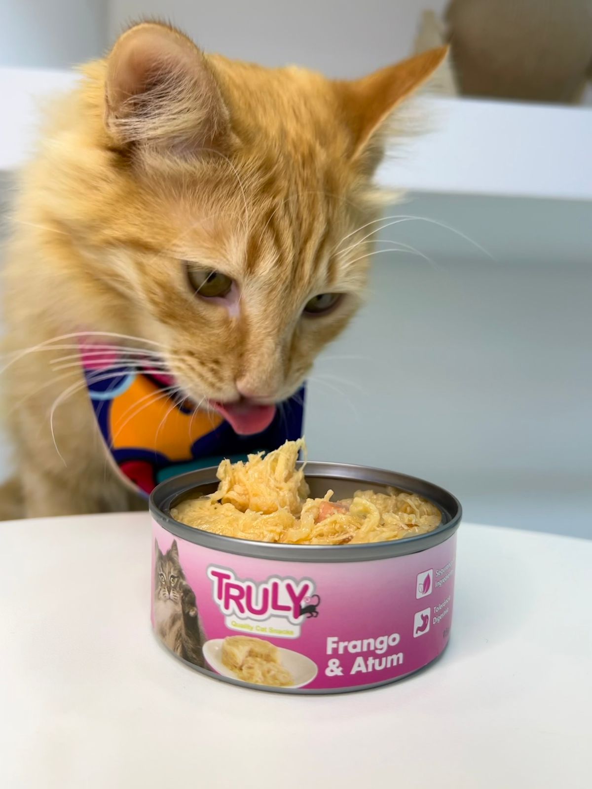 Foto exemplo de petisco truly